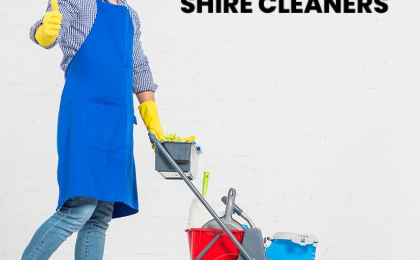 How the Best Professional Cleaner Can Help You Save Time and Energy?