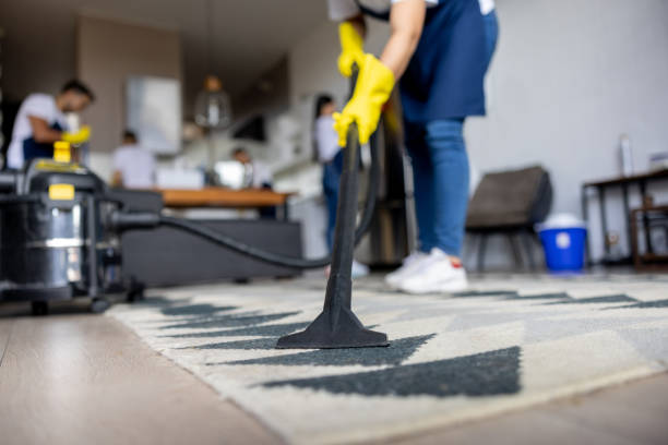 Why Hiring a Professional House Cleaner in Caringbah is Worth It